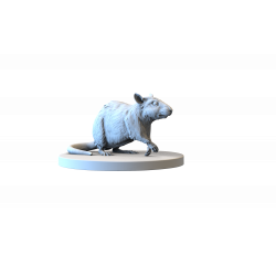 Impréssion 3d Rat