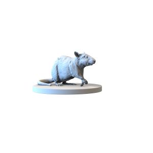 Impréssion 3d Rat