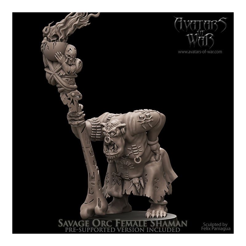 Figurines Avatars of War - Héros et guerriers épiques pour vos wargames