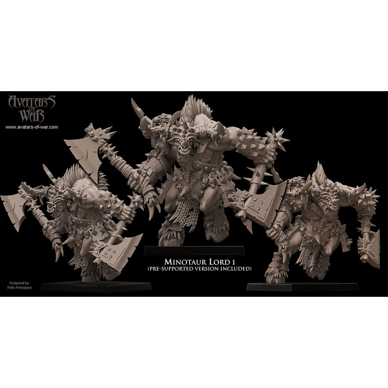 Figurines Avatars of War - Héros et guerriers épiques pour vos wargames