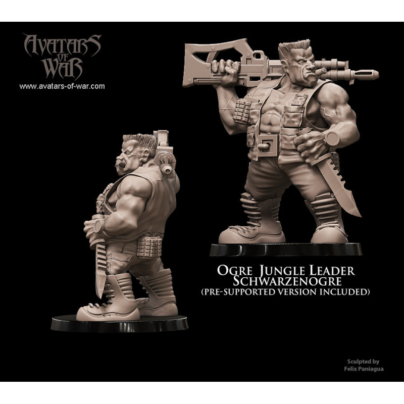 Figurines Avatars of War - Héros et guerriers épiques pour vos wargames