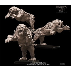 Figurines Avatars of War - Héros et guerriers épiques pour vos wargames
