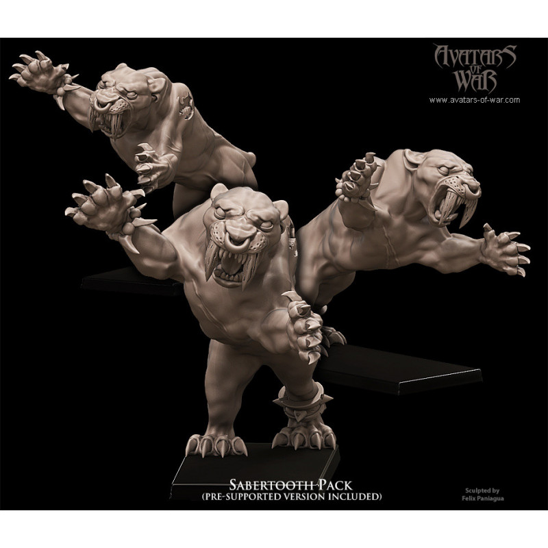 Figurines Avatars of War - Héros et guerriers épiques pour vos wargames