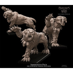 Figurines Avatars of War - Héros et guerriers épiques pour vos wargames