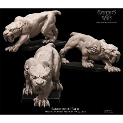 Figurines Avatars of War - Héros et guerriers épiques pour vos wargames
