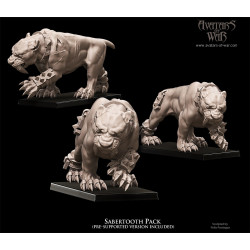 Figurines Avatars of War - Héros et guerriers épiques pour vos wargames