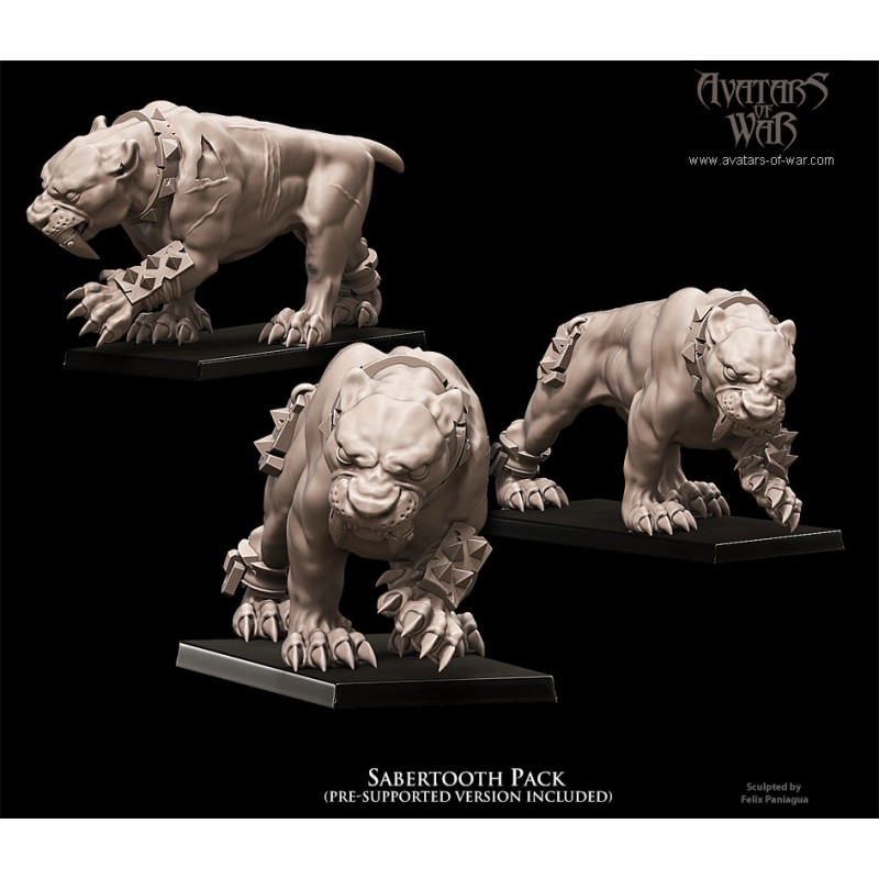 Figurines Avatars of War - Héros et guerriers épiques pour vos wargames
