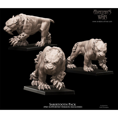 Figurines Avatars of War - Héros et guerriers épiques pour vos wargames