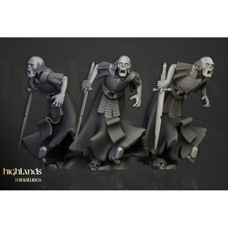 Higland Miniature Transilvanya - Wraith unit