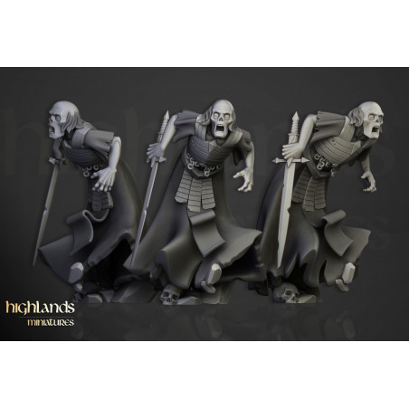 Higland Miniature Transilvanya - Wraith unit