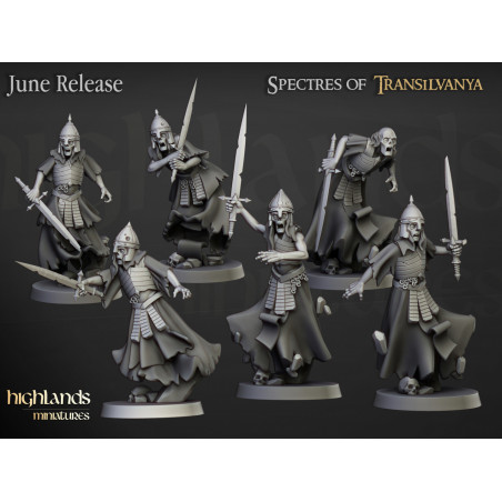 Higland Miniature Transilvanya - Wraith unit
