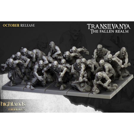 Higland Miniature Transilvanya - Ghouls unit