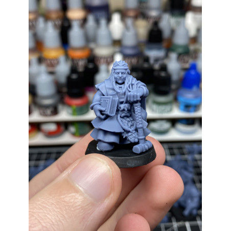 Higlands Miniatures 3D-Heros nain maitresse des runes