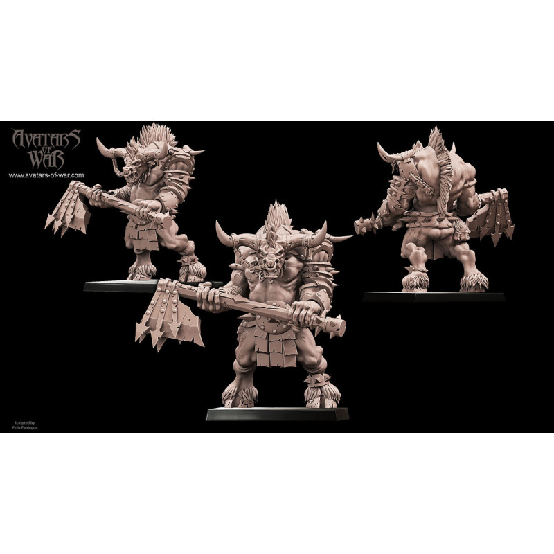 Figurines Avatars of War - Héros et guerriers épiques pour vos wargames