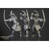 Higland Miniature Sunland - ArchersHigland Miniature Sunland - Archers