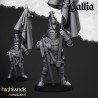 Higland miniatures Gallia - Chevaliers à pieds   