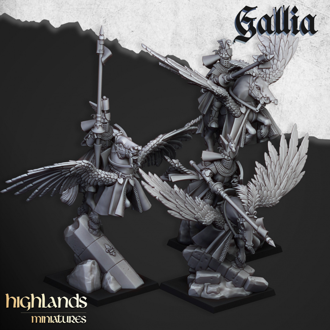 Chevaliers de Gallia - Cavaliers pégases - Imagen 1 de 24