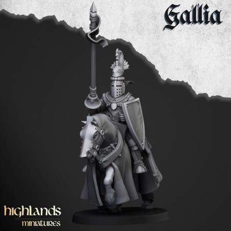 Higland miniatures Gallia - Chevaliers   