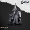 Higland miniatures Gallia - Chevaliers   