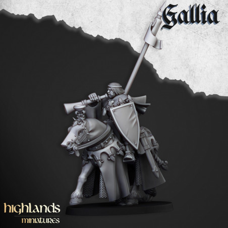 Higland miniatures Gallia - Chevaliers du Royaume   