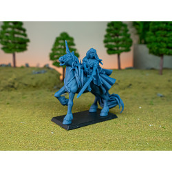 Higland miniatures Gallia - Sorcière sur licorne   (2)