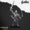 Higland miniatures Gallia - Archers   