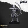 Higland miniatures Gallia - Archers   