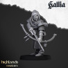 Higland miniatures Gallia - Archers   