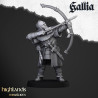 Higland miniatures Gallia - Archers   