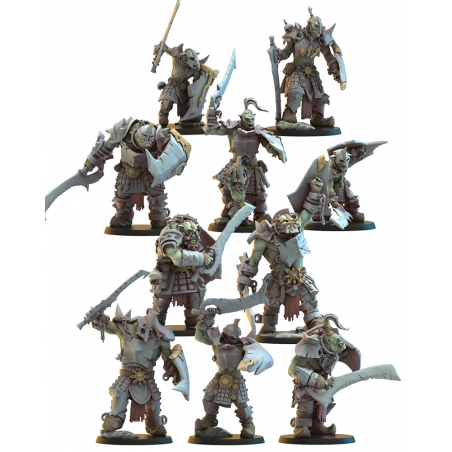 Hobgobelins Guerriers avec lance   