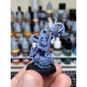 Higlands Miniature-Gobelins Chaman modèle 1 