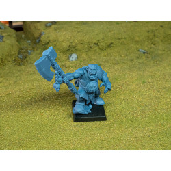 Higlands Miniature-Gobelins Chaman modèle 1   (2)