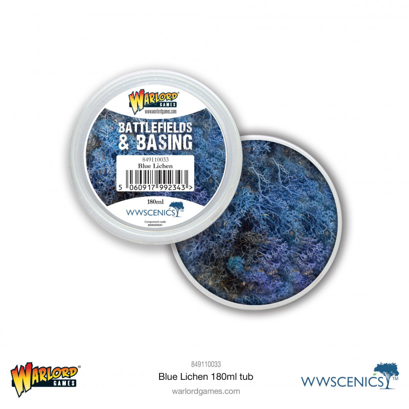Flocage Blue lichen 180ml 