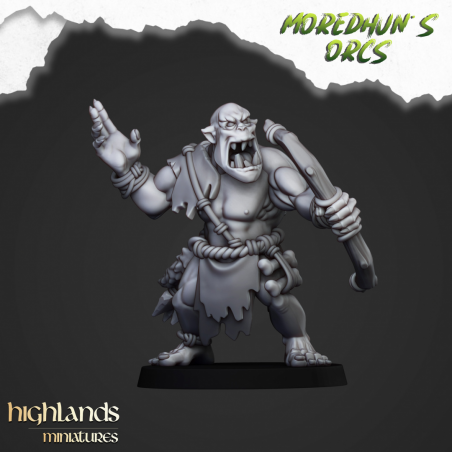 Higlands Miniature- 
