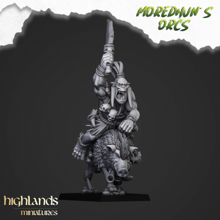 Higlands Miniature-Mounted cave orcs 