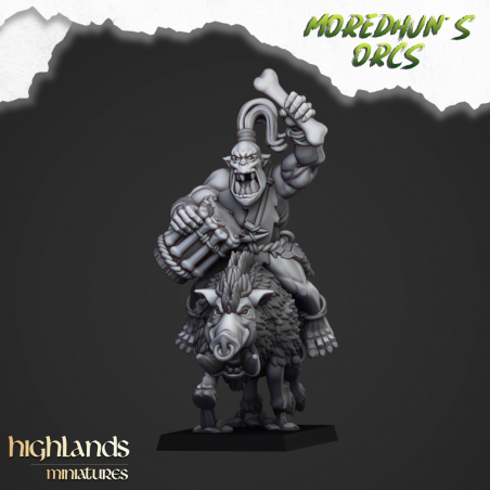 Higlands Miniature-Mounted cave orcs 