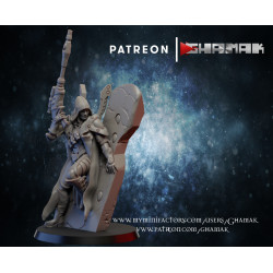 Ghamak-Eldar scout 1  (2)