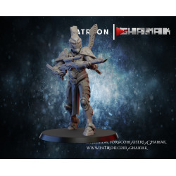 Ghamak-Eldar Vengeur 1  (2)