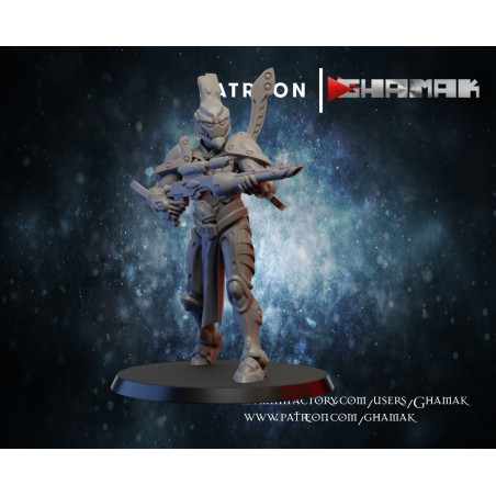 Ghamak-Eldar Vengeur 1 