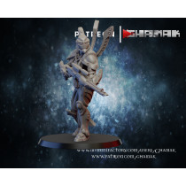 Figurine imprimée en 3D Résine pour jeux de figurines Eldar Vengeur 1 