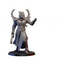 Figurine 3D Résine pour jeux de figurines Space elves-Archonte 2 