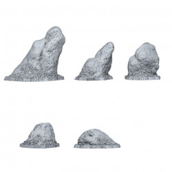 Fantastic Plants & Rocks -   (2)