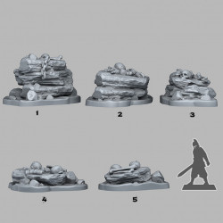 Fantastic Plants & Rocks -   (2)