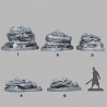 Fantastic Plants & Rocks - Pirate Stones 