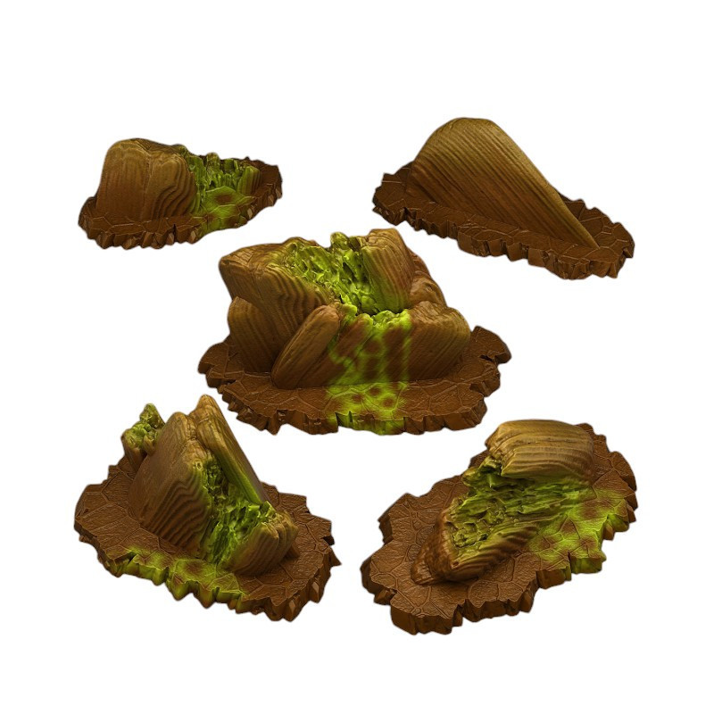 Fantastic Plants & Rocks -  