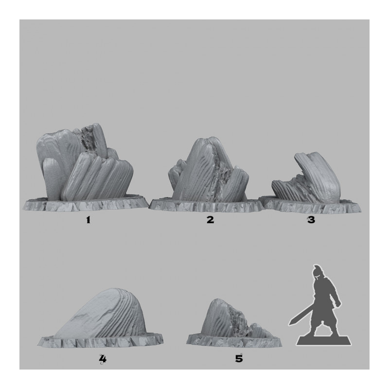 Fantastic Plants & Rocks -  