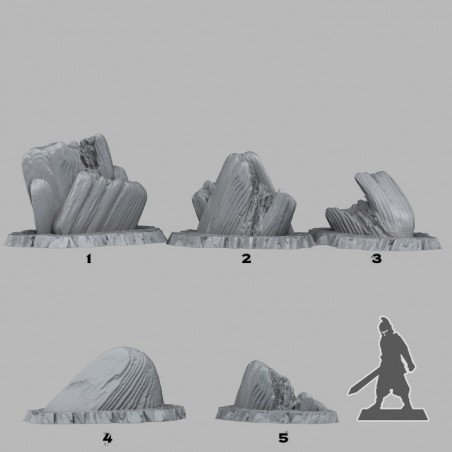 Fantastic Plants & Rocks -  