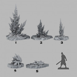 Fantastic Plants & Rocks -   (2)