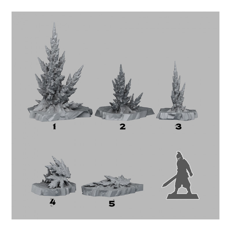 Fantastic Plants & Rocks -  