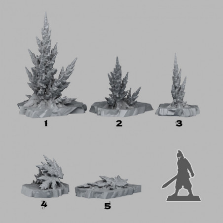 Fantastic Plants & Rocks -  